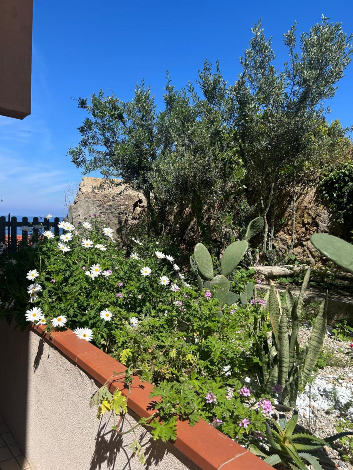 Arcobaleno Tropea Centro Bed and Breakfast Εξωτερικό φωτογραφία